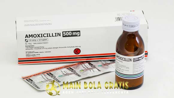 Manfaat Kegunaan Amoxicillin Untuk Ayam Bangkok Aduan